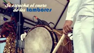 SALOME (YJOTA) BAILANDO VIDEO OFICIAL HD