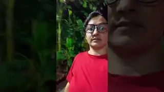 Daily routine evening walk#youtubeshorts#nature#fitness#viral