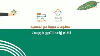 نظام زراعة الأجروفورست