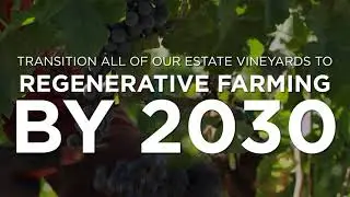 Regenerative Farming: How Jackson Family Wines is protecting the land