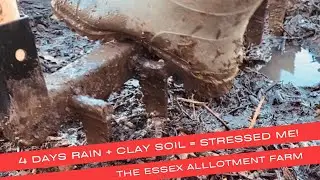 WATERLOGGED FARM? Stressing about the rain and clay soil again! | veg farming Uk - Vlog #32