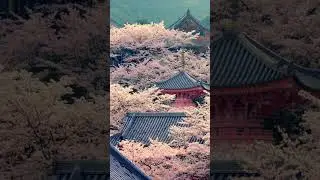Tsubokusa Temple Nara, Japan  #japan #travel
