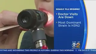 Flu Outbreak May Have Reached Its Peak, Experts Say