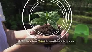 Innovative solutions for sugarcane farming with SC Solutions