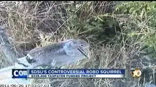 SDSU's 'RoboSquirrel' project criticized by Oklahoma senator