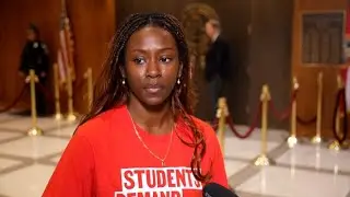 Florida House again passes bill to lower long gun purchase age to 18