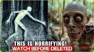 You don't see this every day! Camera Caught TERRIFYING Creatures in the Woods