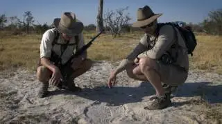 Selinda Expedition
