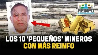 La lista de ‘pequeños’ mineros con más licencias de Reinfo y qué otros negocios tienen | El Comercio