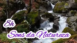 8 Horas ASMR | Neve Derretendo e Pingando | Sons Naturais de Inverno