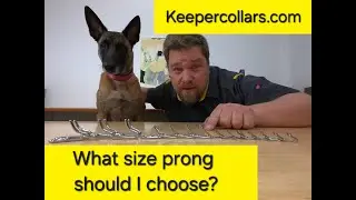 Which prong size should I choose?