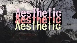 aesthetic // zy rodriguez