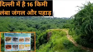 Sanjay van delhi |sanjay van | best couple park in delhi ||#delhitour  #couples