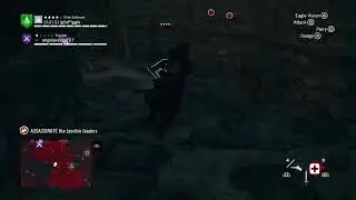 Co op Assassins creed