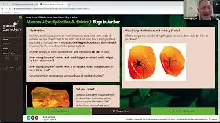Natural Curriculum Year 4 lesson