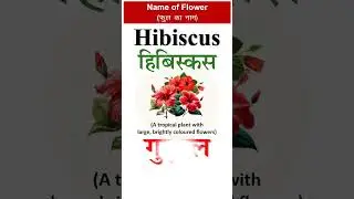 HIBISCUS | गुड़हल का अंग्रेजी | Pronunciation and Hindi meaning of Hibiscus | English words | #shorts