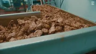 Conveying Chicken Pieces - Cox and Plant