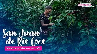 San Juan de Río Coco, destino productor de café