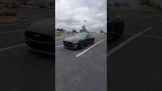 I Just Bought a 2020 Mustang GT Premium