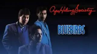 Bluebirds - The Apo English Karaoke