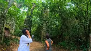 ILHA GRANDE: Circuito do Abraão, Praia Preta, Aquetudo e Ruínas do Lazaretto.