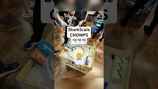 Stock Battle - ImpactDrake vs SharkScale #beyblade #beybladex #gaming #tournament