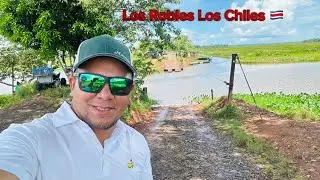 Los Robles Humedales Los Chiles Frontera con Nicaragua 🇳🇮