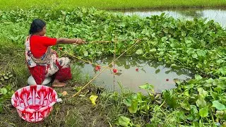 Fishing Video || Village beautiful lady happily fishing In the mud canal using three hooks 