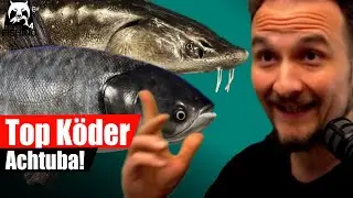 Russian Fishing 4 - Achtuba - K&ouml;der die immer gehen, Wildkarpfen, Marmorkarpfen, St&ouml;r, Aralbarbe