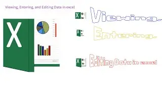 Viewing, Entering, and Editing Data in excel