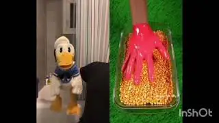 Donaldducc Disagrees Compilation (Updated)