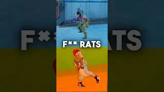 Rats Everywhere 🐀