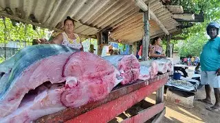 Sri Lankan Fisherman Harvesting Biggest Village Street Fish Market Master Cutting Skills