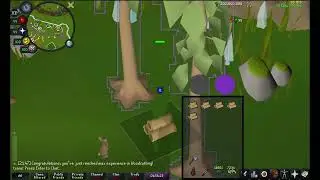 200m Woodcutting