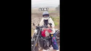 龙年就得吃鱼，因为...#农村美食 #三农  #450clc