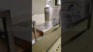 Microwave baking peanut and nut tunnel oven