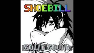 Shoebill - Organic Breakcore Guest Mix @ Solid Sound FM (2020)