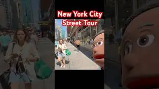 Raw and Real: New York City Street Walking Tour You&rsquo;ll Never Forget