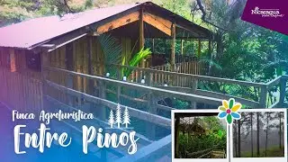 Finca Agroturística Entre Pinos, Cusmapa, Madriz 🍃🌫⛰🌲