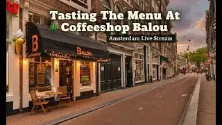 🔴LIVE Amsterdam | Tasting The Menu @Coffeeshop Balou | DRINKING COFFEE | Surely Nothing Else | IRL