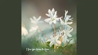 I Saw You Across the Room