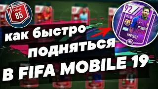 ФАРМИМ МОНЕТЫ НА ЛУЧШЕМ ФИЛЬТРЕ | КАК ДИКО ПРОККЧАТЬ СОСТАВ | FIFA MOBILE 19
