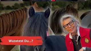 2026 ver&auml;ndert ALLES - Das Feuerpferd ist da!