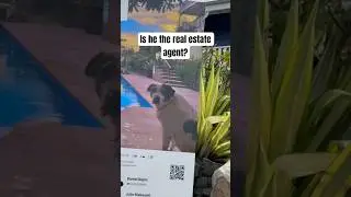 Best real estate agent ever! #dog #indie #music #realestate