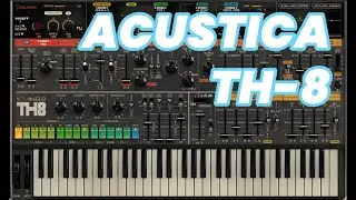 ACUSTICA AUDIO Thing TH 8 | Roland Jupiter 8 Clone