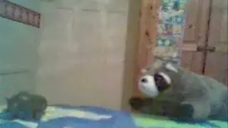 Mushu & Randolph Episode 1