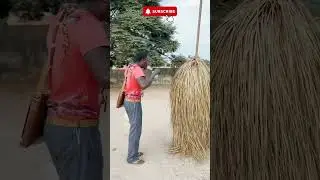 Most interesting festival in Africa