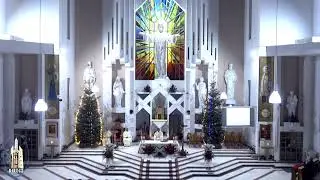 LIVE - Biserica Romano-Catolică  Sfinţii Petru si Paul  Bacau