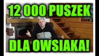 12 000 PUSZEK  DLA OWSIAKA!
