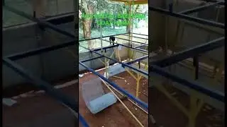 BIGGEST GOAT BREEDING FARM IN MOODBIDRI OPENING SOON/beetal goats/ pure breed /+91 99001 46287